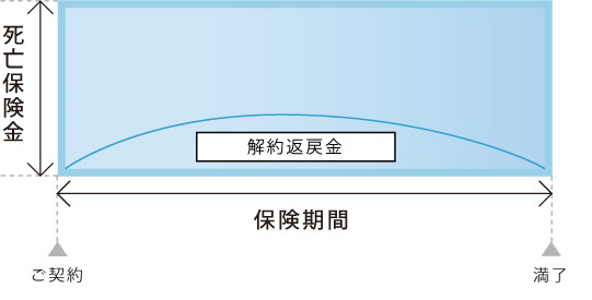 定期保険グラフ