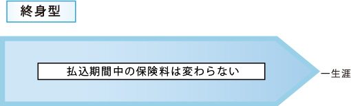 終身型グラフ