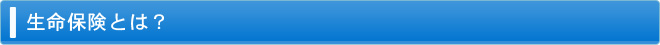 生命保険とは？