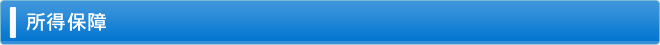 所得保障