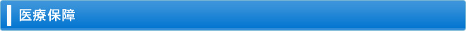 医療保障